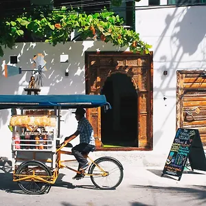 Hotel The Green Village Boutique Playa del Carmen